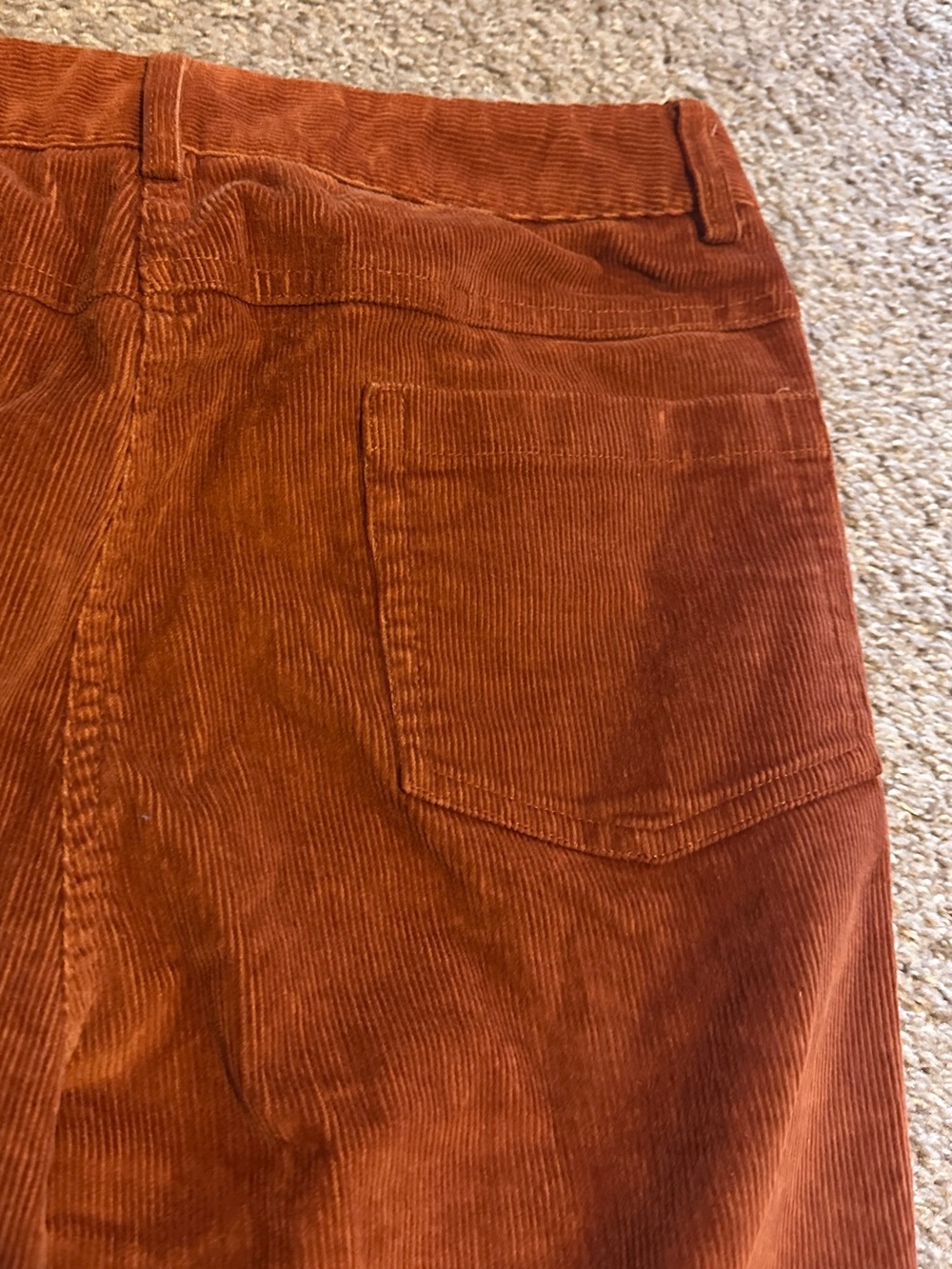 J. McLaughlin Burnt Orange Corduroy Pants Women’s Size 8 Fall Academia Preppy - Picture 8 of 15